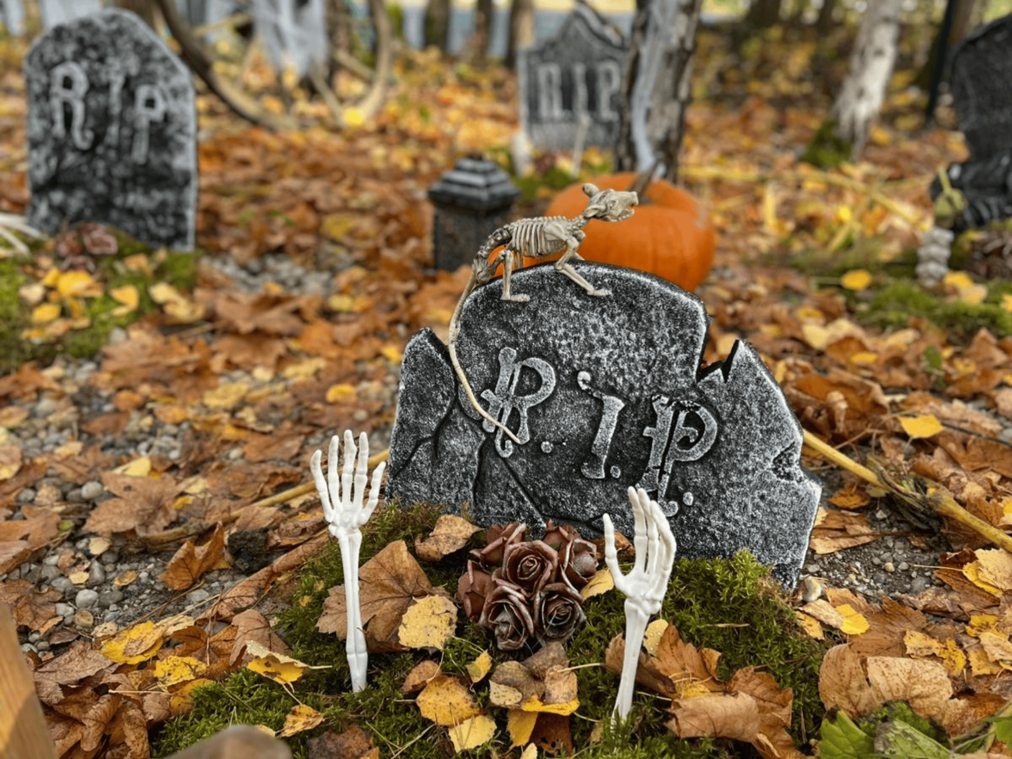 Návrh bez názvu (18)_1